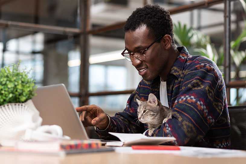 Man writing at laptop with a grey cat